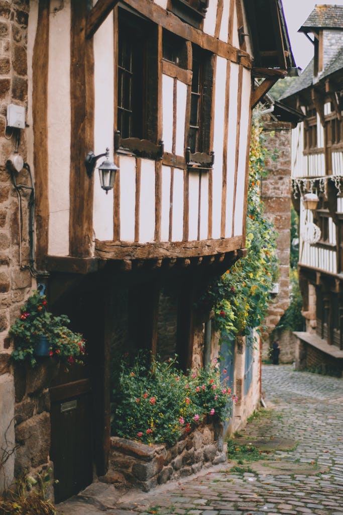 Narrow cobblestone passage between old authentic wooden houses with timber framing decorated with lush potted plants in daylight